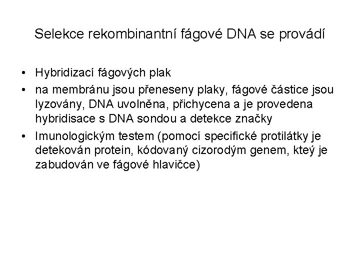 Selekce rekombinantní fágové DNA se provádí • Hybridizací fágových plak • na membránu jsou