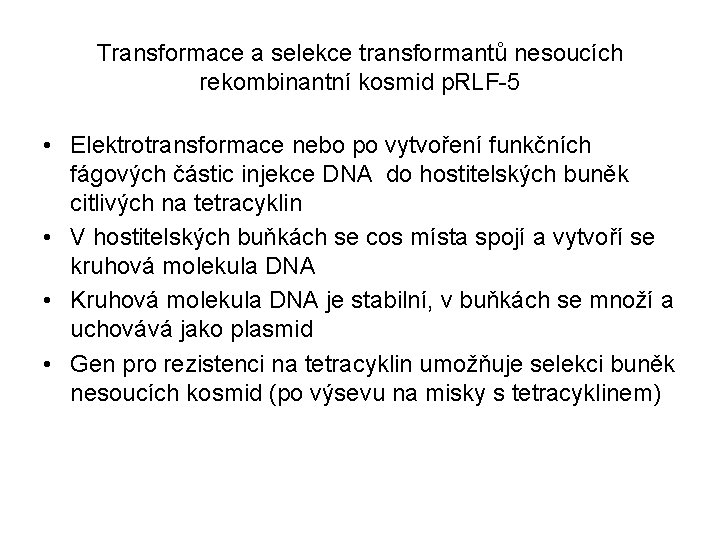 Transformace a selekce transformantů nesoucích rekombinantní kosmid p. RLF-5 • Elektrotransformace nebo po vytvoření