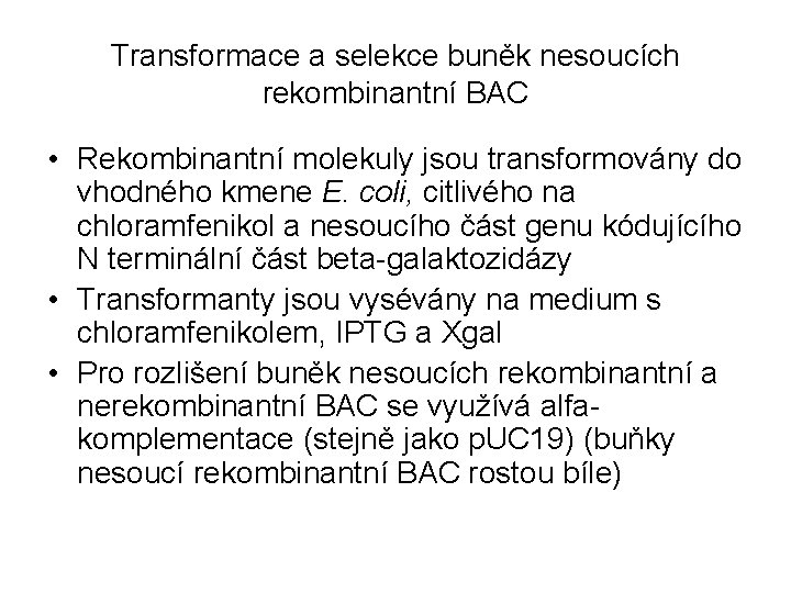 Transformace a selekce buněk nesoucích rekombinantní BAC • Rekombinantní molekuly jsou transformovány do vhodného