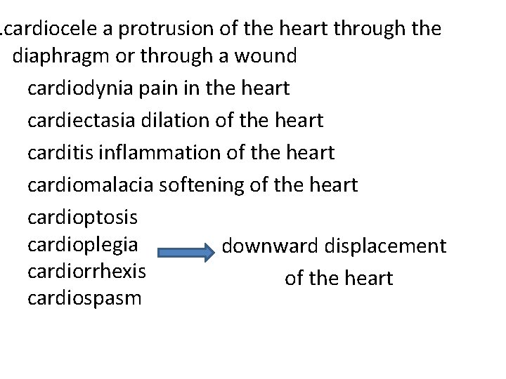 . cardiocele a protrusion of the heart through the diaphragm or through a wound