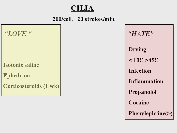 CILIA 200/cell. 20 strokes/min. “LOVE “ “HATE” Drying Isotonic saline Ephedrine Corticosteroids (1 wk)