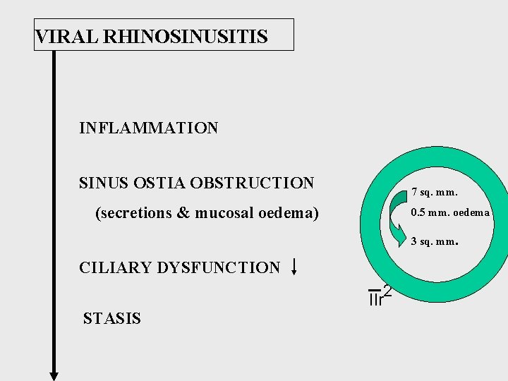 VIRAL RHINOSINUSITIS INFLAMMATION SINUS OSTIA OBSTRUCTION 7 sq. mm. (secretions & mucosal oedema) 0.