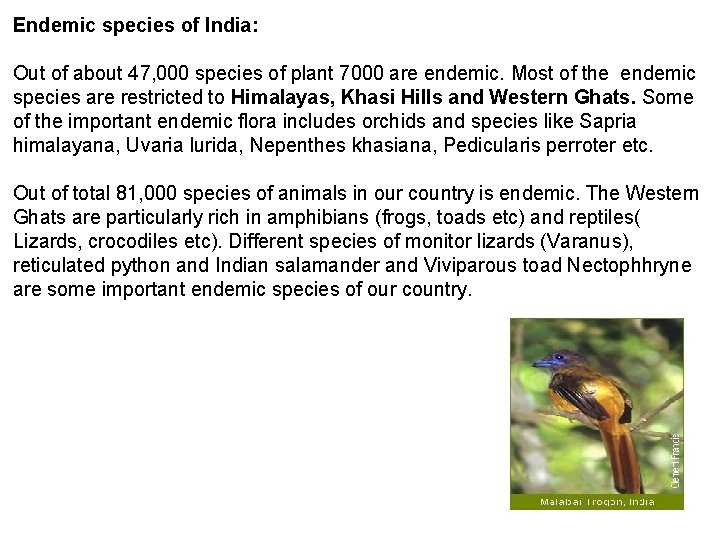 Endemic species of India: Out of about 47, 000 species of plant 7000 are