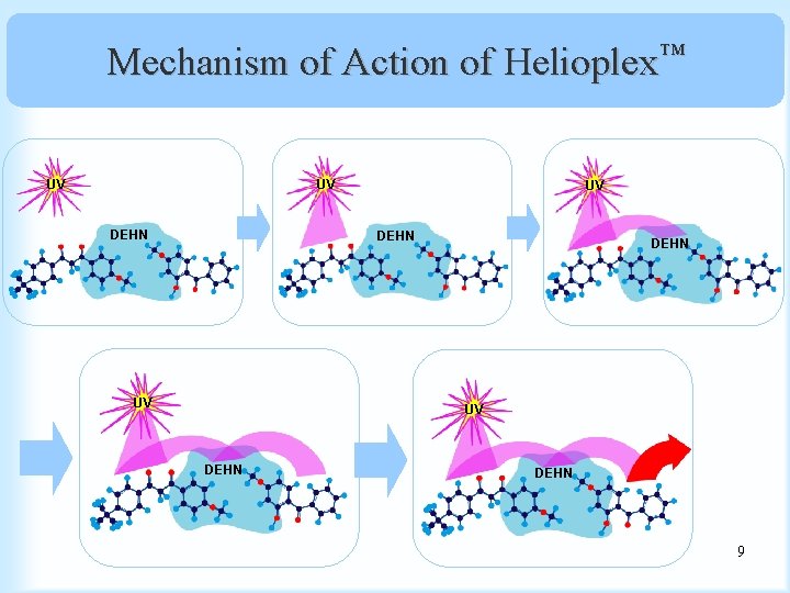 Mechanism of Action of Helioplex™ UV UV DEHN DEHN 9 