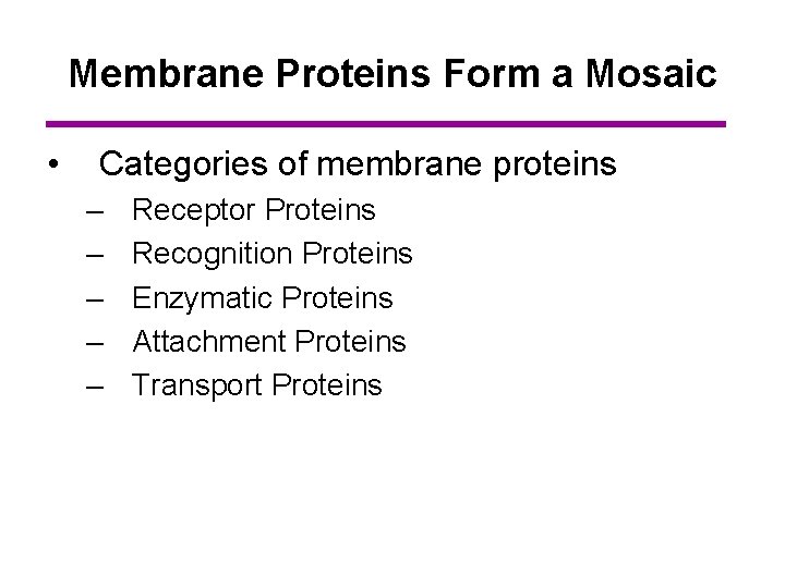 Membrane Proteins Form a Mosaic • Categories of membrane proteins – – – Receptor