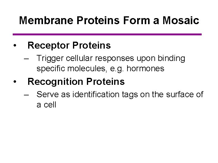Membrane Proteins Form a Mosaic • Receptor Proteins – Trigger cellular responses upon binding
