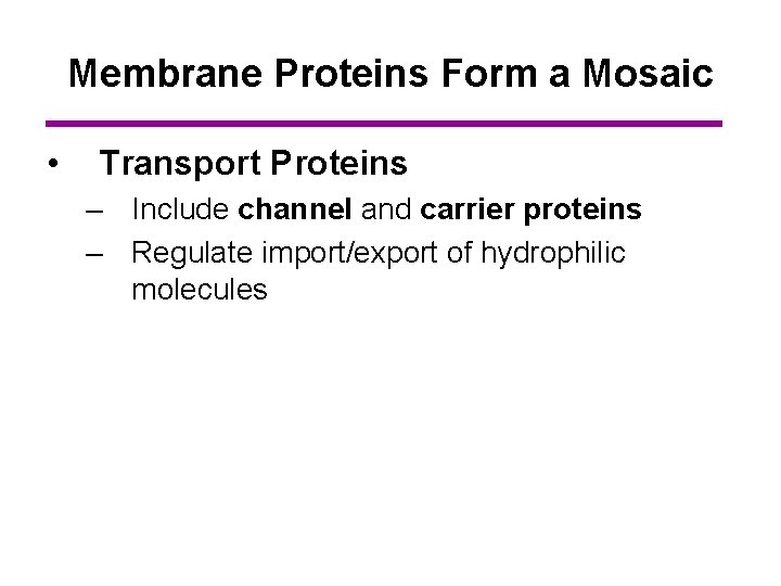Membrane Proteins Form a Mosaic • Transport Proteins – Include channel and carrier proteins