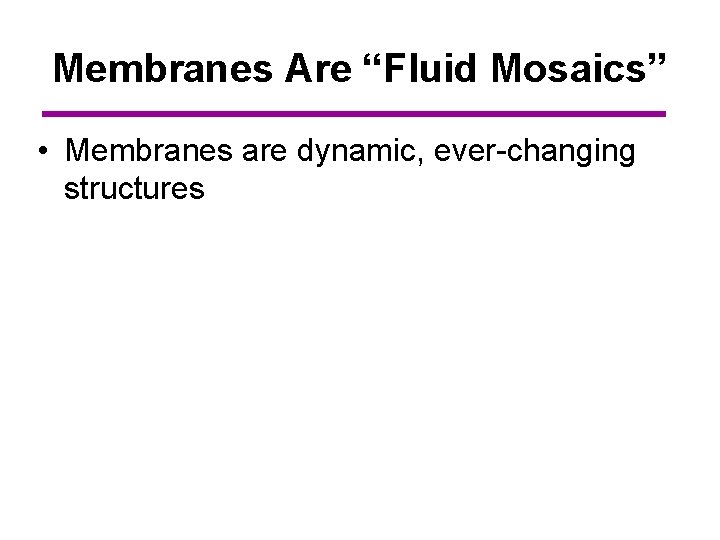 Membranes Are “Fluid Mosaics” • Membranes are dynamic, ever-changing structures 