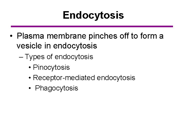 Endocytosis • Plasma membrane pinches off to form a vesicle in endocytosis – Types