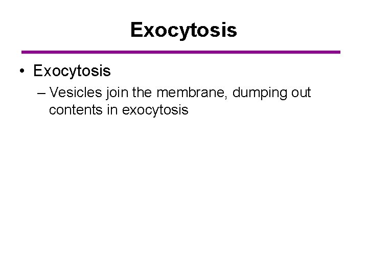 Exocytosis • Exocytosis – Vesicles join the membrane, dumping out contents in exocytosis 