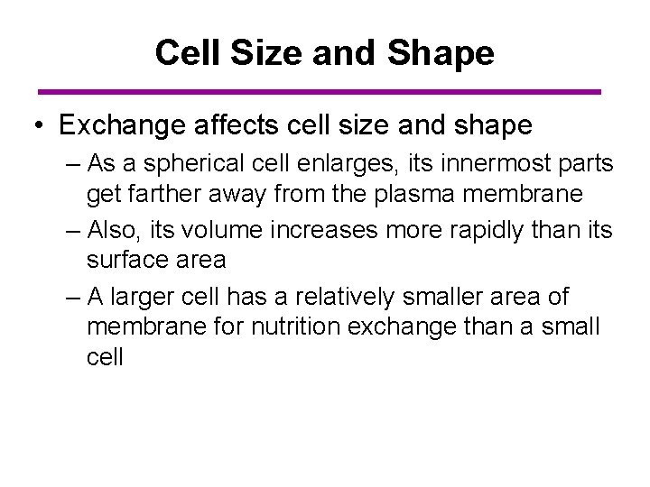 Cell Size and Shape • Exchange affects cell size and shape – As a