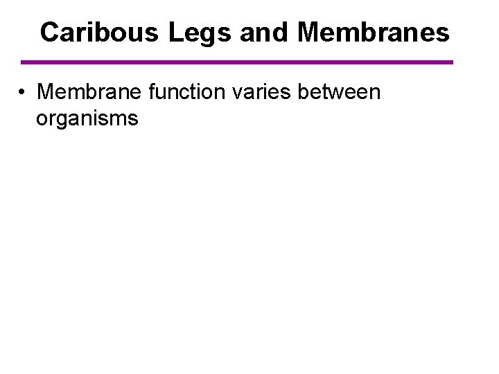 Caribous Legs and Membranes • Membrane function varies between organisms 