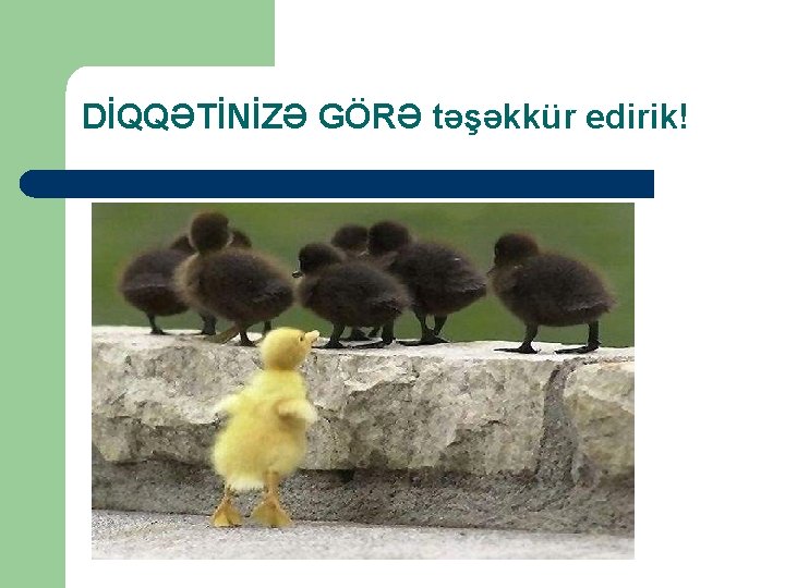 DİQQƏTİNİZƏ GÖRƏ təşəkkür edirik! 