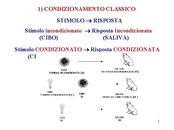 1) CONDIZIONAMENTO CLASSICO STIMOLO RISPOSTA Stimolo incondizionato Risposta Incondizionata (CIBO) (SALIVA) Stimolo CONDIZIONATO Risposta