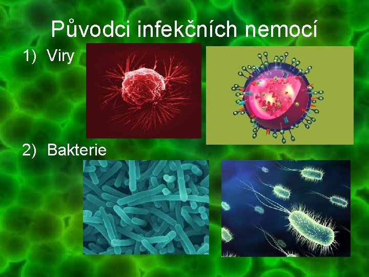Původci infekčních nemocí 1) Viry 2) Bakterie 