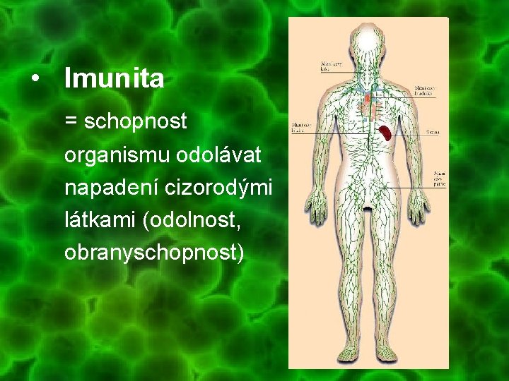  • Imunita = schopnost organismu odolávat napadení cizorodými látkami (odolnost, obranyschopnost) 