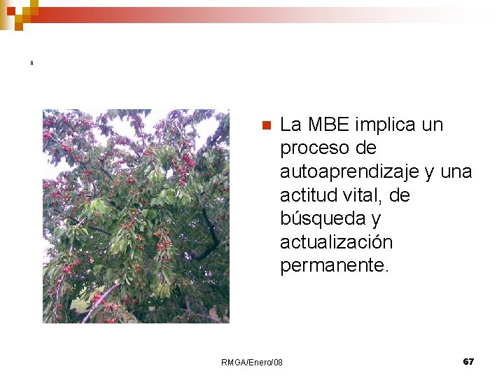 ñ n La MBE implica un proceso de autoaprendizaje y una actitud vital, de