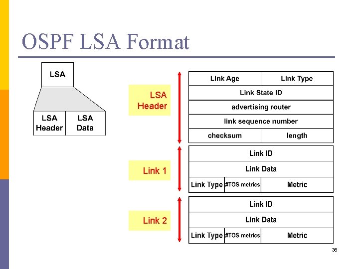 OSPF LSA Format LSA Header Link 1 Link 2 36 