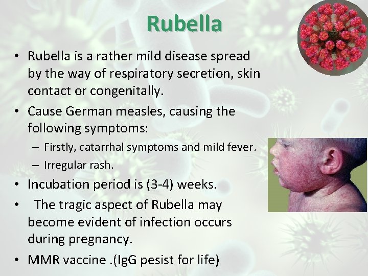 Rubella • Rubella is a rather mild disease spread by the way of respiratory