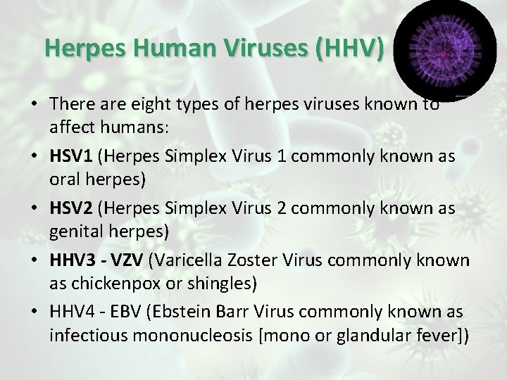 Herpes Human Viruses (HHV) • There are eight types of herpes viruses known to