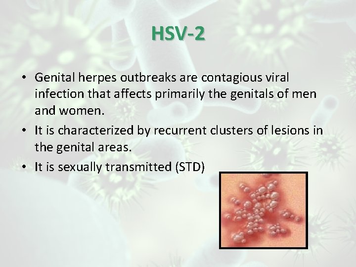 HSV-2 • Genital herpes outbreaks are contagious viral infection that affects primarily the genitals