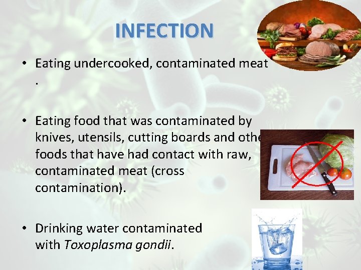 INFECTION • Eating undercooked, contaminated meat. • Eating food that was contaminated by knives,