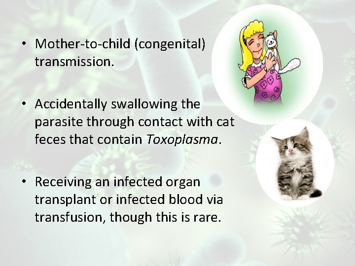  • Mother-to-child (congenital) transmission. • Accidentally swallowing the parasite through contact with cat