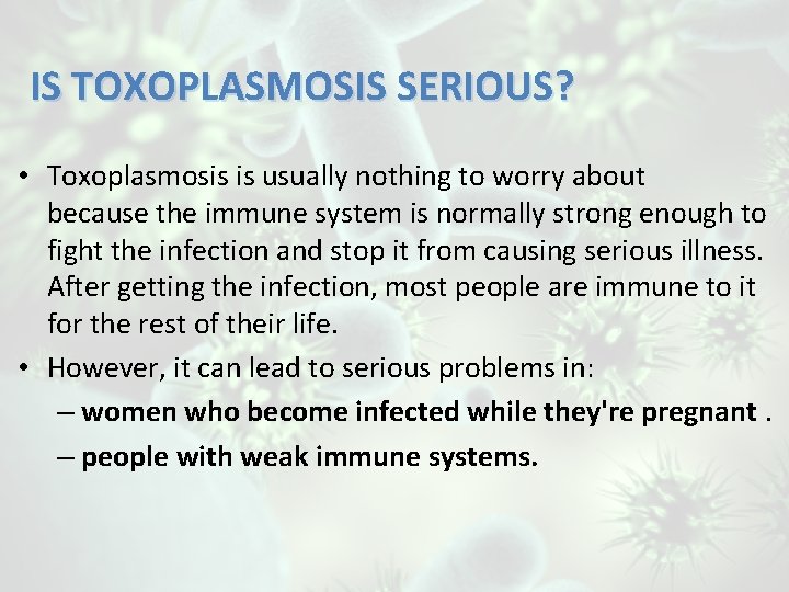 IS TOXOPLASMOSIS SERIOUS? • Toxoplasmosis is usually nothing to worry about because the immune