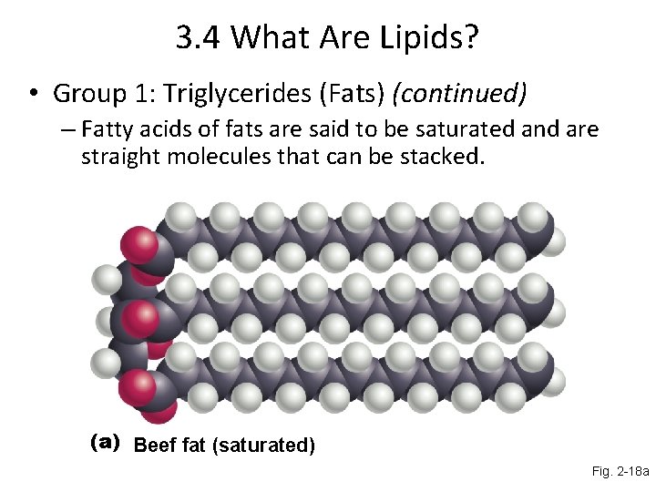3. 4 What Are Lipids? • Group 1: Triglycerides (Fats) (continued) – Fatty acids