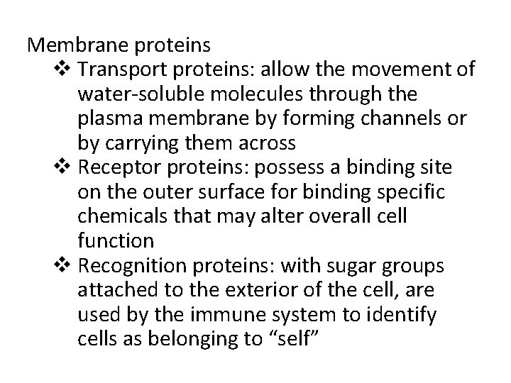 Membrane proteins v Transport proteins: allow the movement of water-soluble molecules through the plasma