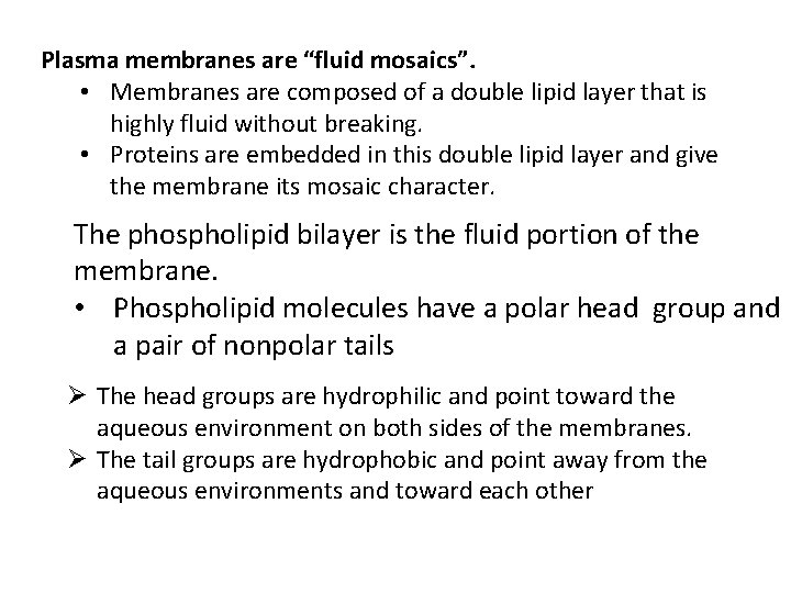 Plasma membranes are “fluid mosaics”. • Membranes are composed of a double lipid layer