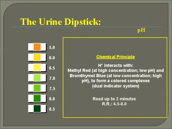 The Urine Dipstick: p. H 5. 0 6. 5 7. 0 7. 5 8.