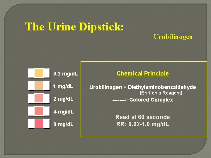 The Urine Dipstick: 0. 2 mg/d. L 1 mg/d. L Urobilinogen Chemical Principle Urobilinogen