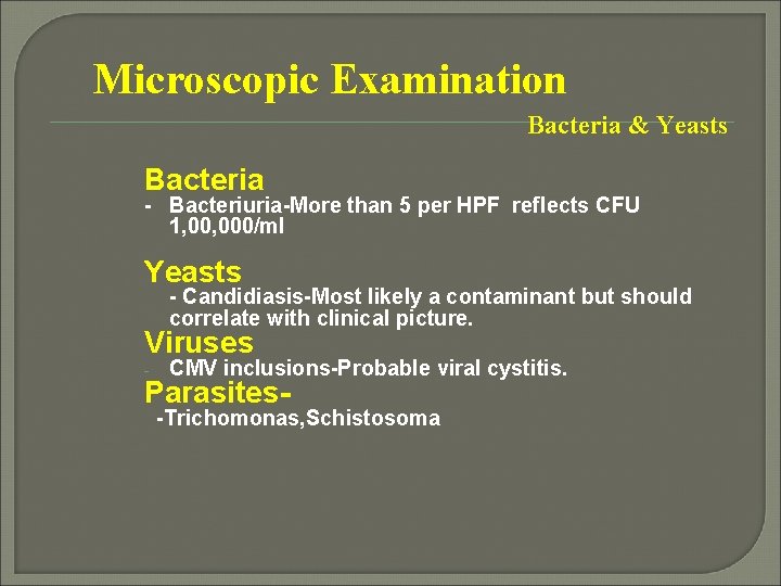 Microscopic Examination Bacteria & Yeasts Bacteria - Bacteriuria-More than 5 per HPF reflects CFU
