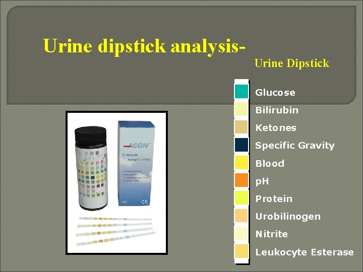 Urine routine and microscopy KEM Hospital Mumbai Urinanalysis