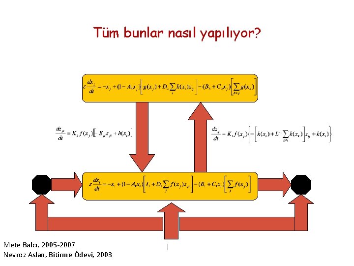 Tüm bunlar nasıl yapılıyor? Mete Balcı, 2005 -2007 Nevroz Aslan, Bitirme Ödevi, 2003 I