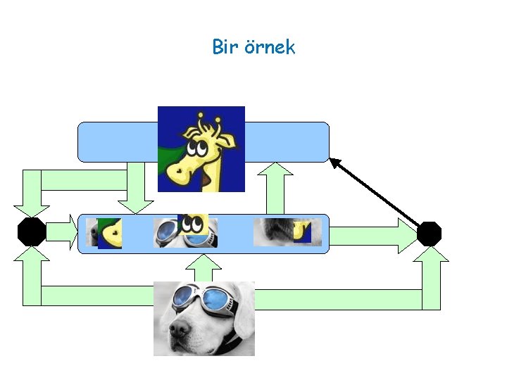 Bir örnek 