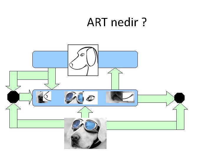 ART nedir ? 