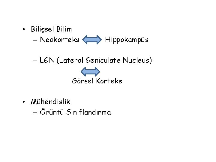  • Bilişsel Bilim – Neokorteks Hippokampüs – LGN (Lateral Geniculate Nucleus) Görsel Korteks