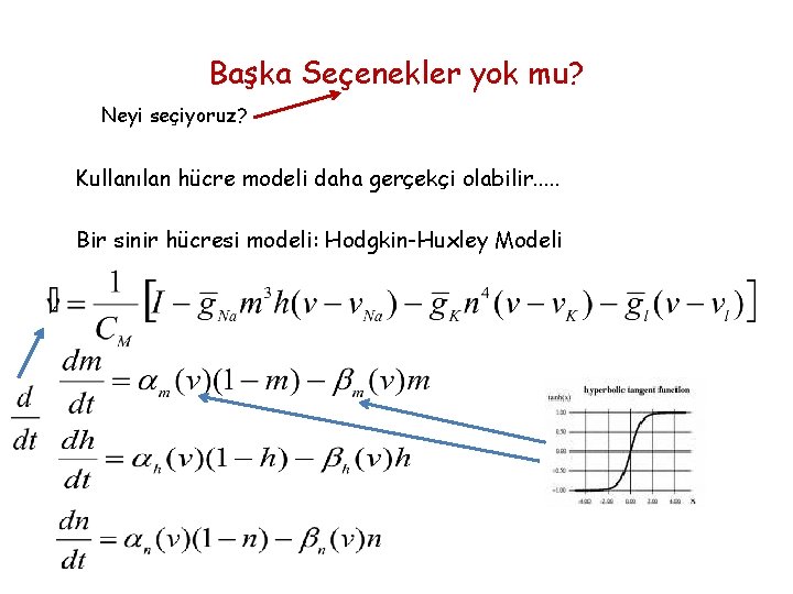 Başka Seçenekler yok mu? Neyi seçiyoruz? Kullanılan hücre modeli daha gerçekçi olabilir. . .