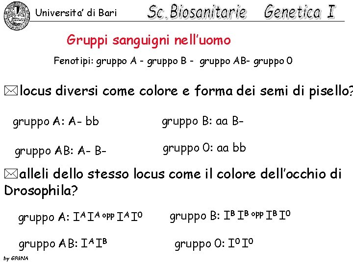 Universita’ di Bari Gruppi sanguigni nell’uomo Fenotipi: gruppo A - gruppo B - gruppo
