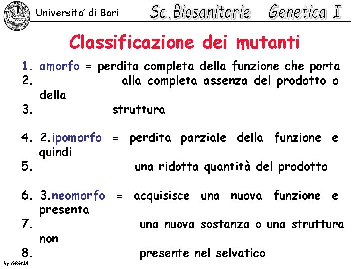 Universita’ di Bari Classificazione dei mutanti 1. amorfo = perdita completa della funzione che