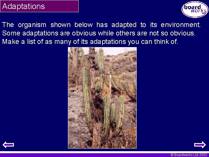 Adaptations The organism shown below has adapted to its environment. Some adaptations are obvious