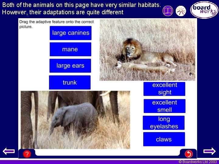Both of the animals on this page have very similar habitats. However, their adaptations