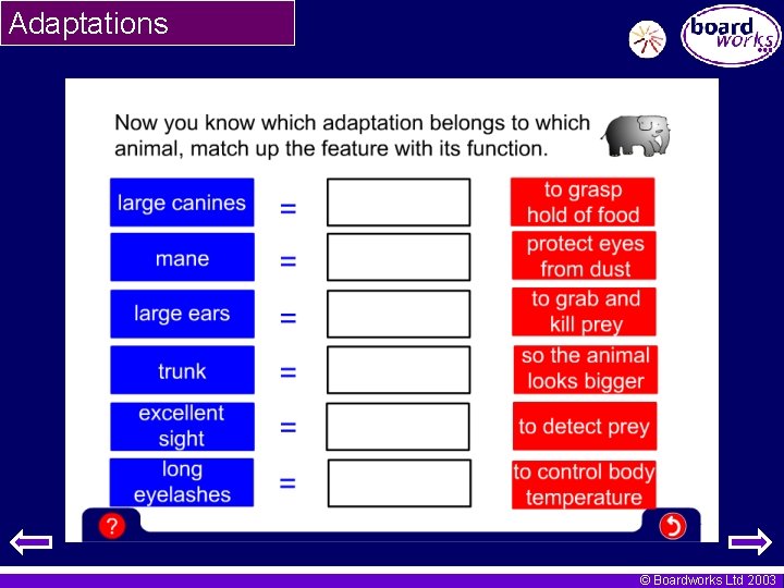 Adaptations © Boardworks Ltd 2003 