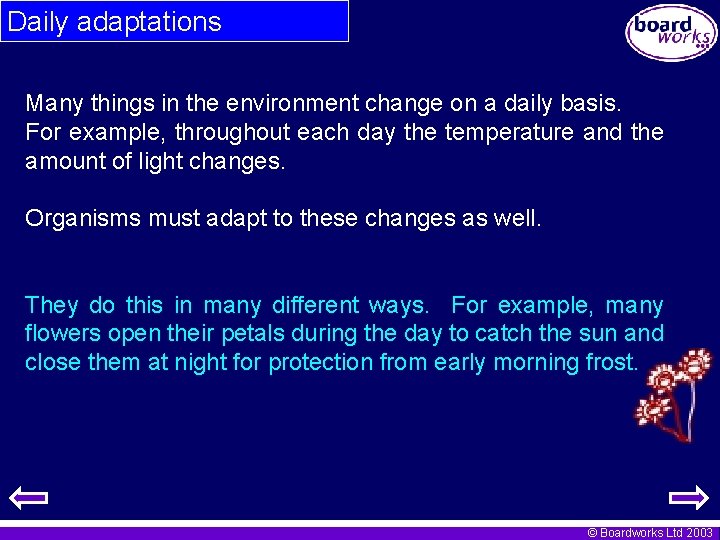 Daily adaptations Many things in the environment change on a daily basis. For example,