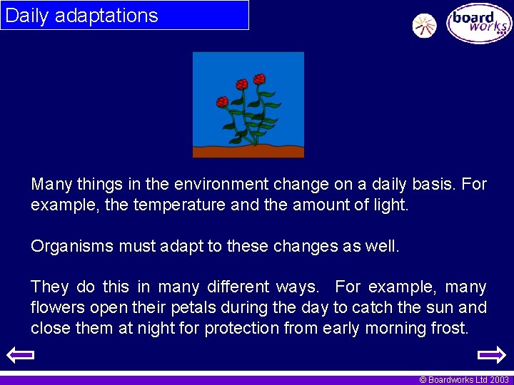 Daily adaptations Many things in the environment change on a daily basis. For example,