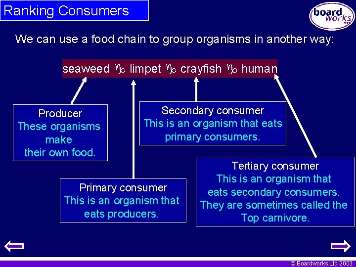 Ranking Consumers We can use a food chain to group organisms in another way: