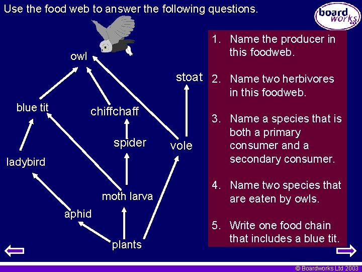 Use the food web to answer the following questions. 1. Name the producer in