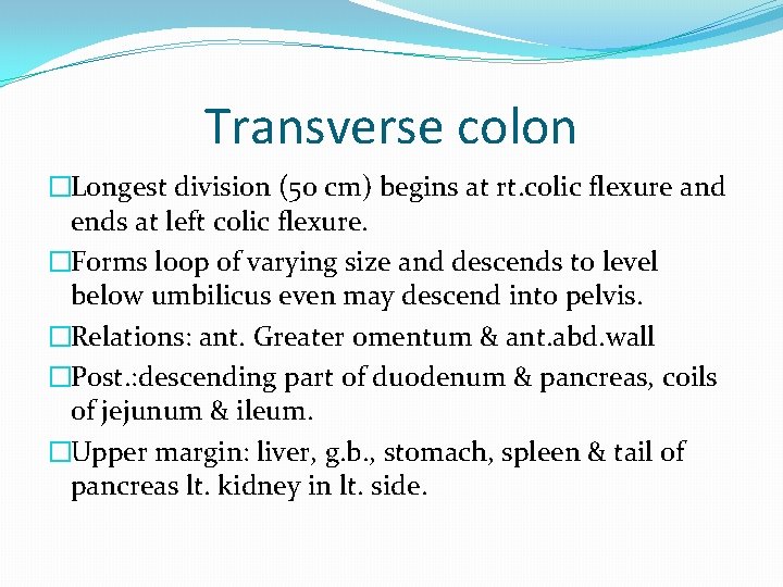 Transverse colon �Longest division (50 cm) begins at rt. colic flexure and ends at